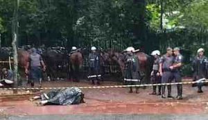 Cavalo da PM morre eletrocutado ao pisar em bueiro em SP