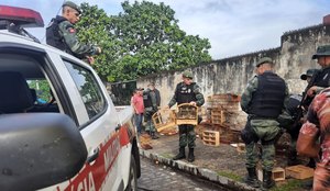 Espécies da fauna silvestre eram comercializadas sem autorização.