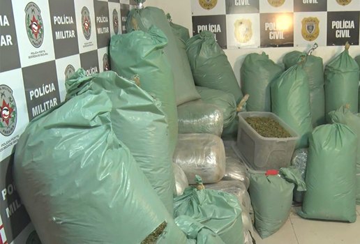 Maconha apreensao