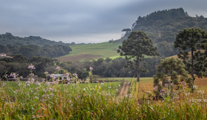 O Brasil tem diversas opções de destinos encantadores e aconchegantes para aproveitar o inverno (Imagem: lucasgamaral | Shutterstock)