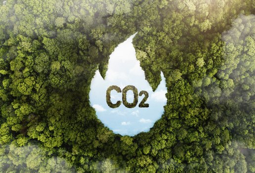 reduçao co2 carbono