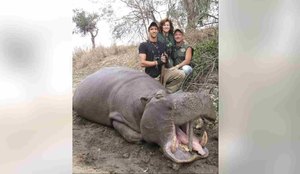 Dentista milionário é acusado de matar a mulher durante férias em safari