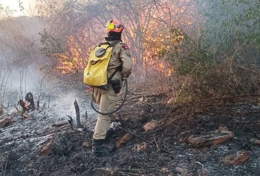 Bombeiros fazem força-tarefa no Sertão para controlar incêndio