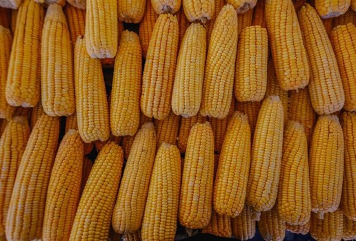 Já é possível encontrar milho e comidas típicas no Cecaf
