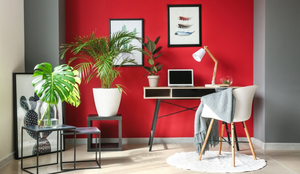 O Feng Shui ajuda a melhorar a energia da casa na primavera (Imagem: Pixel-Shot | Shutterstock)
