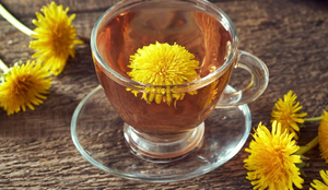 O chá de dente-de-leão pode ser usado contra distúrbios digestivos (Imagem: Madeleine Steinbach | Shutterstock)