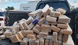 Polícia apreende mais de 300 kg de drogas na Zona Sul de João Pessoa