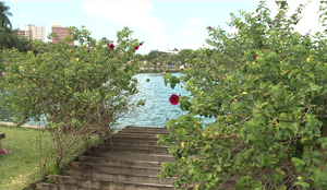 Parque da Lagoa Joao Pessoa