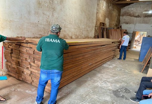 Madeira IBAMA