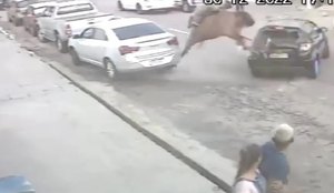 Policial e cavalo ficam feridos após choque contra veículo na PB