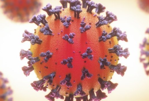 Novo coronavirus 1