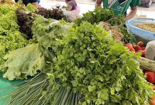 Feiradaagriculturafamiliar