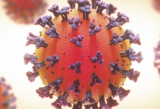 Corona virus pb