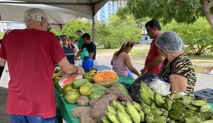 Feira Agricultura Familiar