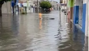 CHUVA EM PATOS