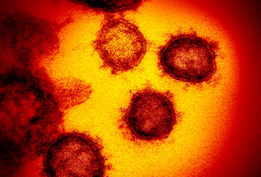 Imagem coronavirus