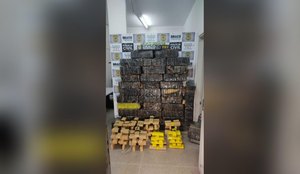Maconha Soledade