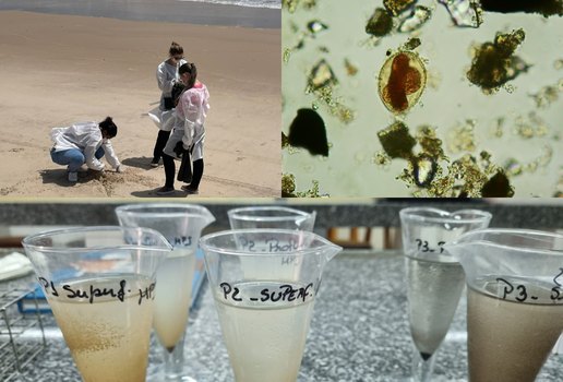 Parasitas intestinais são identificados em 10 trechos de praias do Litoral Sul da PB