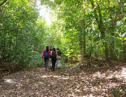 Jardim botanico de joao pessoa benjamim maranhao foto secom pb