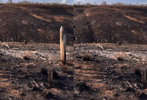 Pc investiga crime ambiental apos incendio em manaira pb