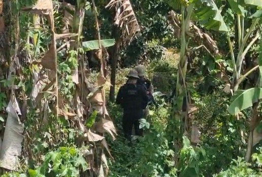 Whats App Image 2025 11 01 at 19 20 06