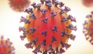 Corona virus pb
