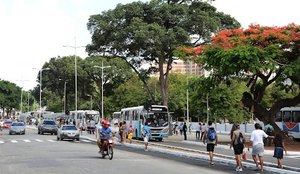 Paradas de ônibus da Lagoa do Parque Solon de Lucena sofrerão alteração devido às obras em plataforma