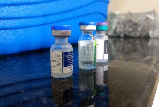 Vacinas paraiba