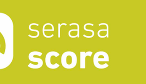 Serasa score