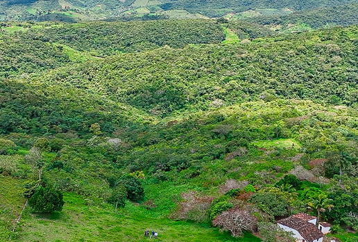 Operacao Mata Atlantica em Pe