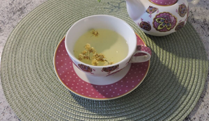 Chá de marcela tradicional (Imagem: Antonio Meneghini | Shutterstock)