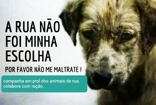 Animais coruripe 4