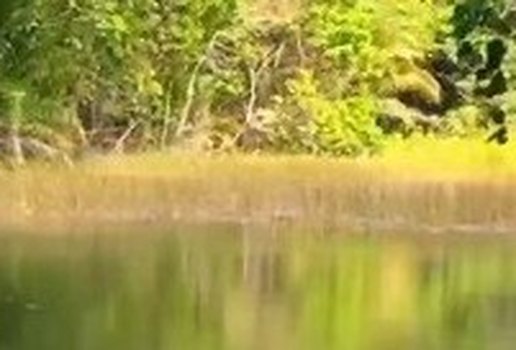 Rio Cuia