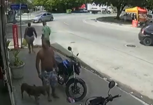 Ataque pitbull