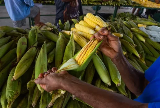 Festa do Milho Cecaf Rafael Passos 8 scaled