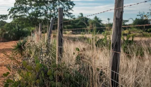 Cerca de arame farpado na caatinga paraibana gerado com ideogram