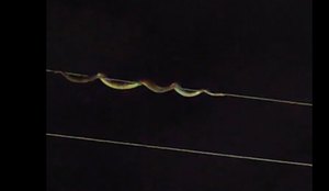 Cobra cabos alta tensao prata pb