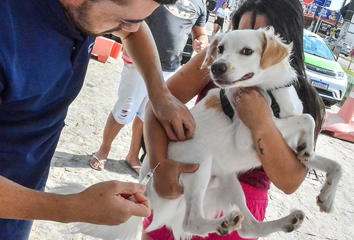 Vacinação contra Raiva Animal: João Pessoa disponibiliza 140 postos neste sábado (27)