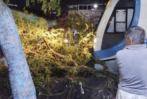 Trem arvore santa rita