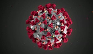 Coronavirus arte
