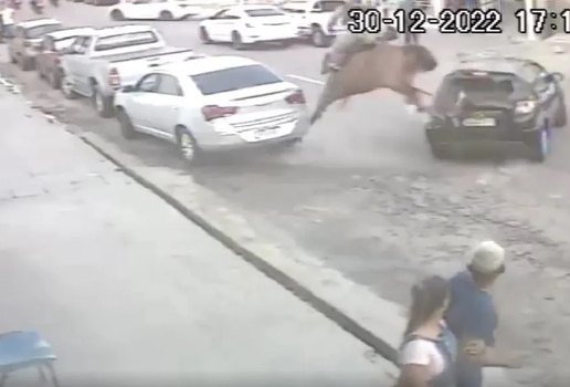 Policial e cavalo ficam feridos após choque contra veículo na PB