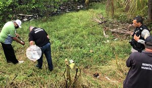 Vítima foi encontrada dentro de um sítio, na beira da maré