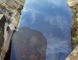 Águas do canal do Parque Parahyba tem registrado, segundo moradores, lançamento de esgotos e manchas de óleo