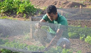 Marcelo trabalhando na horta