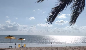 Praiaportalt5