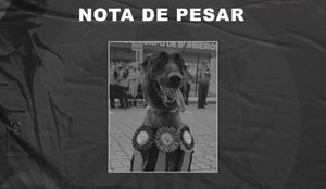 Morte thayla bombeiros