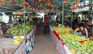 Cecaf 2 1024x683 1 600x400