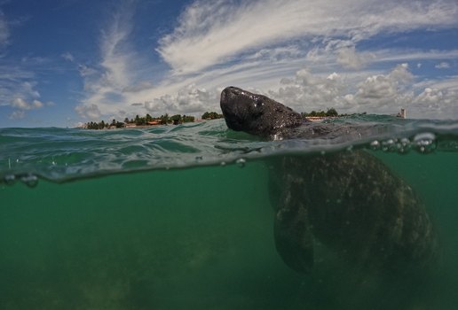 754b9558 858c 4820 b680 2fc707185ffb