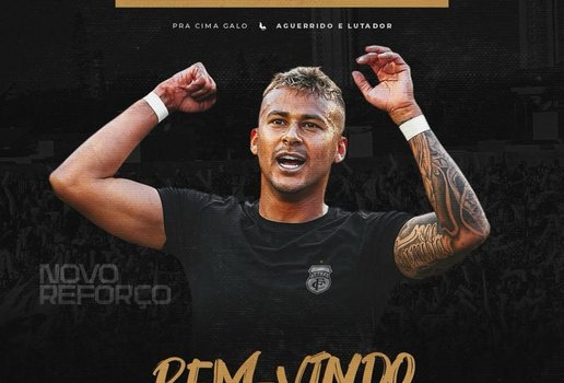 O Treze Futebol Clube informa a contratacao do atacante Luisinho para a Serie D do Campeonato Brasileiro Luis Gabriel Moreira de Souza Euphrasio de 24 anos chega para reforcar o setor ofensivo do Galo O atacan