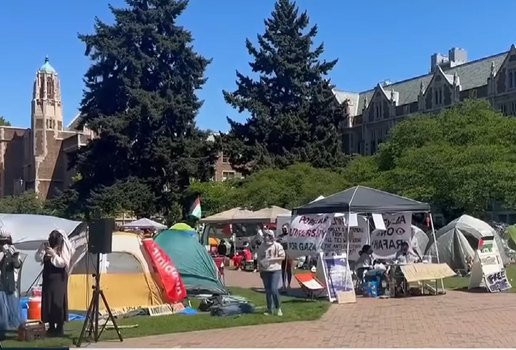 Protestos pro palestina eua sbt brasil youtube